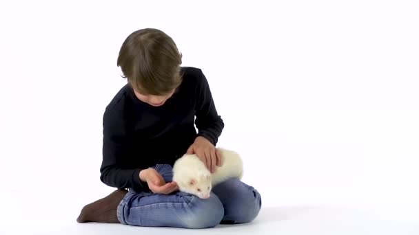 Brunet chlapec drží a hladí albíny fretka furo s červenýma očima na bílém pozadí. Zpomalený pohyb. — Stock video