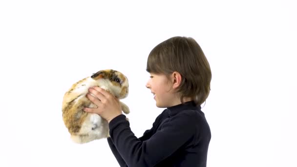 Brunet jongen houdt en onderzoekt zorgvuldig drie gekleurde konijnen op witte achtergrond. Langzame beweging. Sluiten. — Stockvideo