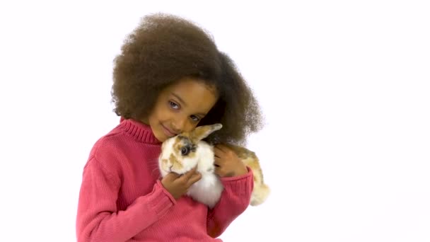 Pequena menina encaracolada africana está abraçando três coelhos coloridos no fundo branco. Movimento lento — Vídeo de Stock