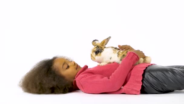 Klein Afrikaans krullend meisje ligt op de vloer met drie gekleurde konijnen op een witte achtergrond. Langzame beweging — Stockvideo