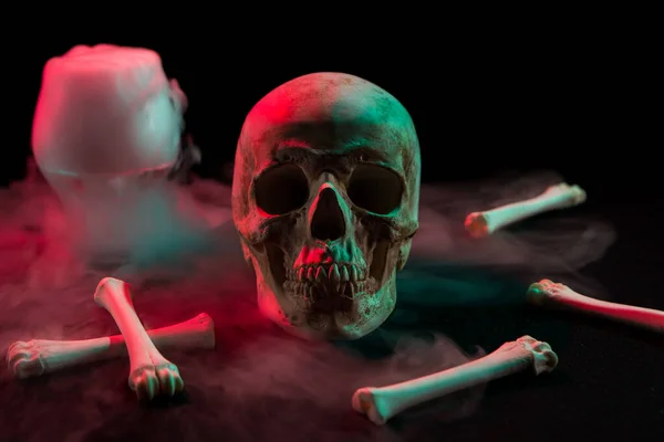 Human skull near glass with thick smoke and bones for Day of the Dead on dark background with red and green light. — Stock Photo, Image