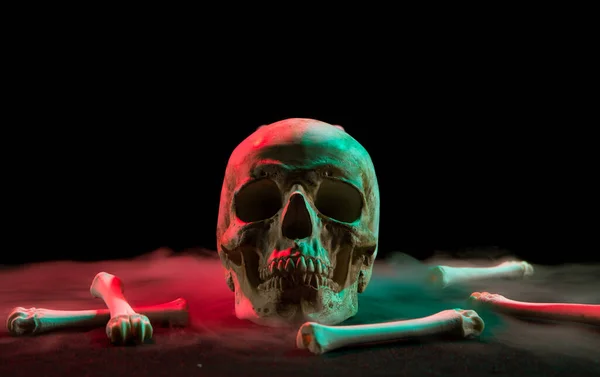 Human skull near bones and thick white smoke flowing around for Day of Dead on dark background with red and green light.