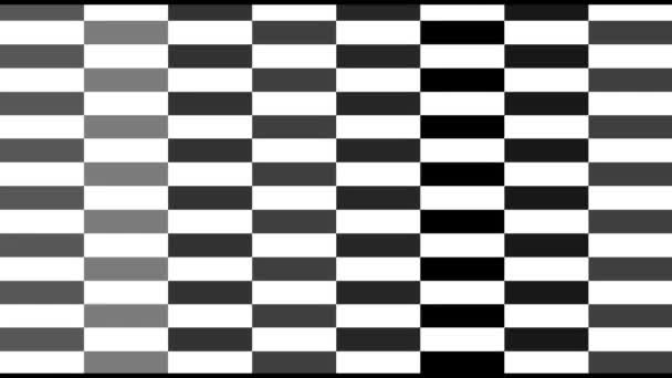 Pixelerad digital skärm struktur med en monokromatisk svart och vit slumpmässigt förändrade mönster. Färganimation — Stockvideo