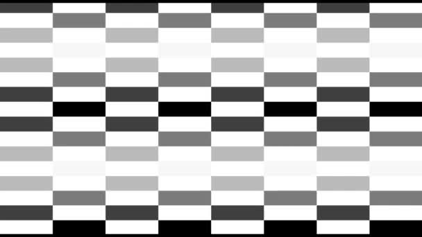 Texture d'écran numérique pixellisée avec un motif changeant aléatoire monochromatique noir et blanc. Animation couleur 