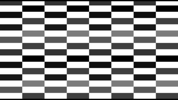 Pixelated digital screen texture with a monochromatic black and white random changing pattern. Color animation — Stock Video
