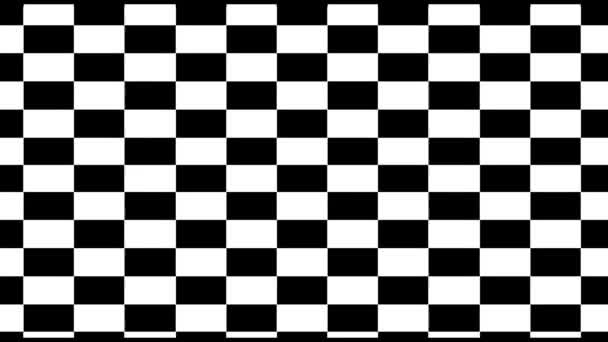 Black and white pattern checkers vertical. Future geometric patterns motion background — Stock Video