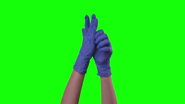 Médecins main féminine met des gants en latex bleu. Écran vert. Gros plan . — Video