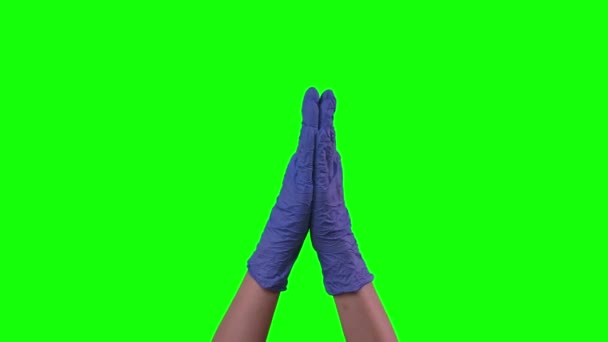 Médicos mãos femininas em luvas azuis estão batendo palmas. Tela verde. Fechar — Vídeo de Stock