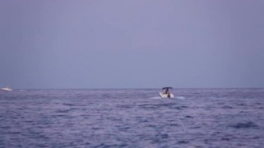 Mavi gökyüzüne ve ufka karşı Akdeniz 'de yüzen iki insan taşıyan mekik. Lipari Adaları. Sicilya, İtalya