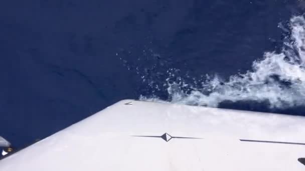 Нос белой парусной лодки режет воду, ускоряя пенные волны — стоковое видео