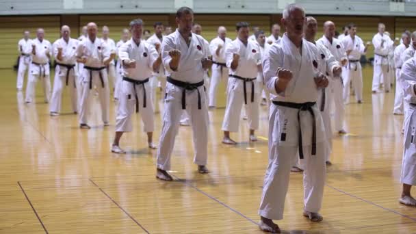 Okinawa, Japonsko - 11. července 2012: IOGKF World Budo sai. Skupina lidí cvičí karate kata. — Stock video