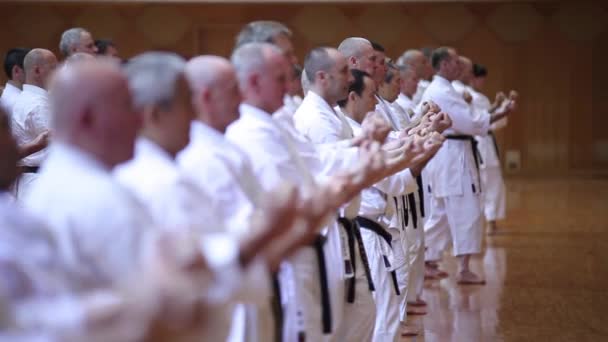 Okinawa, Japón - 11 de julio de 2012: IOGKF World Budo sai. Grupo de personas que practican kata de karate . — Vídeos de Stock
