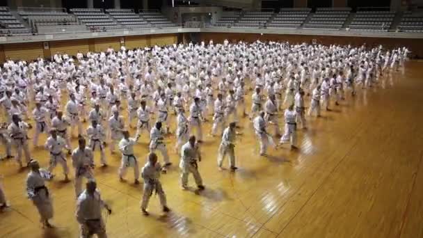 Okinawa, Japonsko - 11. července 2012: IOGKF World Budo sai. Skupina lidí cvičí karate kata. — Stock video