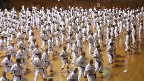 Okinawa, Japonsko - 11. července 2012: IOGKF World Budo sai. Skupina lidí cvičí karate kata. — Stock video