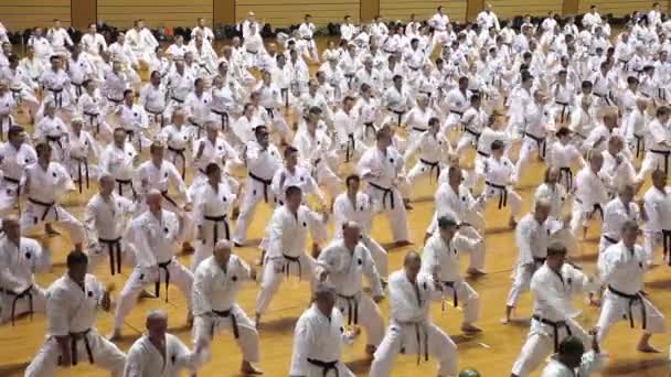 Okinawa, Japonsko - 11. července 2012: IOGKF World Budo sai. Skupina lidí cvičí karate kata. — Stock video