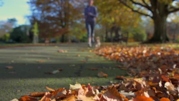 Slow Motion Shot Female Runner Her Cute Little Dog Running — Stock Video