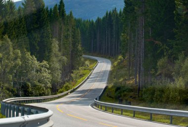 Kırsal köy yolu ormanın içinden geçiyor. Otoyol görünümü