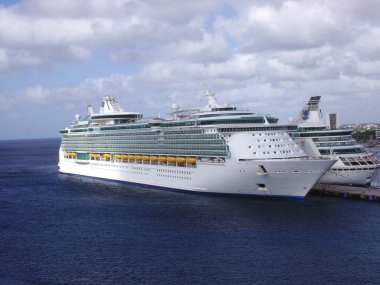 Akdeniz 'i geçen büyük bir yolcu gemisi. Okyanus gezisi