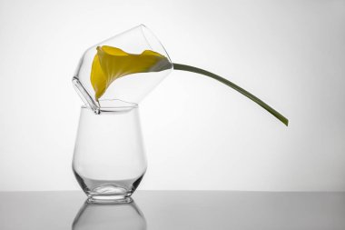 Bardakta çiçek tomurcuğu