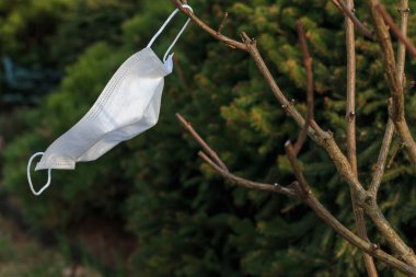 Ağaçta asılı duran ve rüzgarda sallanan tek bir tek kullanımlık cerrahi maske parçası.