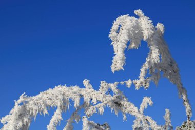 Buz heykeli kış peyzaj