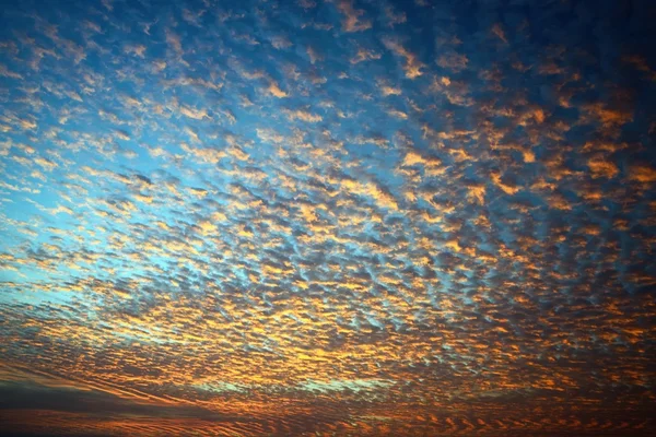 Schöner Sonnenaufgang in der Meereslandschaft — Stockfoto