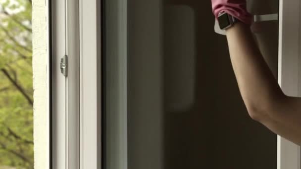 Lavare le finestre a casa durante una pandemia — Video Stock
