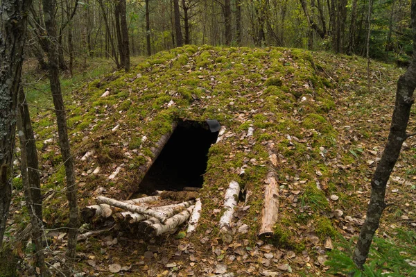 Military underground bunker camouflaged by logs and moss among the autumn forest