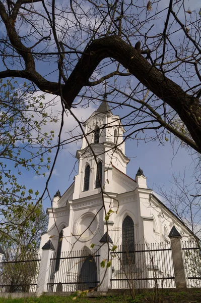 Igreja Santíssima Trindade Igreja Roch Minsk Através Ramos Curvos Uma — Fotografia de Stock
