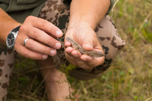 Bir adam elinde kuyruğundan fırlamış bir kertenkele tutar, ikinci eliyle, parmağında alyans ve saatle, onu gösterir.