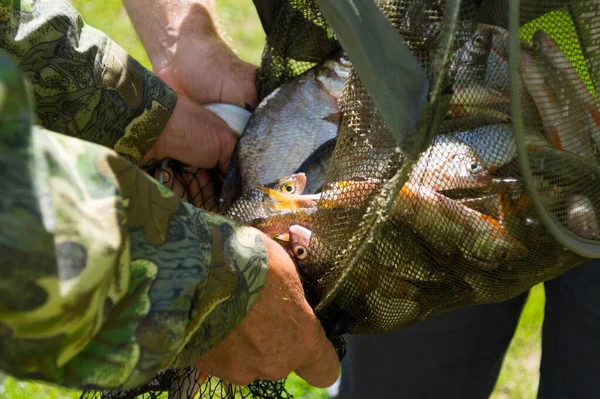 Üç adam aralık ağıyla balık yakaladı.