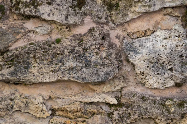 Bir dağın taş ayağının dokusu, gri renkli kaya ya da uçurum yosun ile karışmıştır.