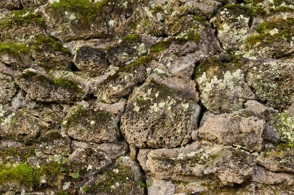 Mağaranın yosunlu taş duvarının yüzey dokusu, bir dağın ya da uçurumun ayağı, çatlaklar ve deliklerle noktalanmış.