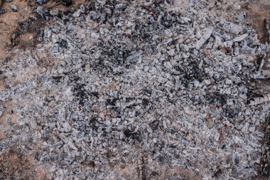 Yanmış ateş közleri. Küller. Boşluğu kopyala.