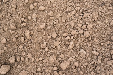 Arkaplan için ektikten sonra tarım toprağı.