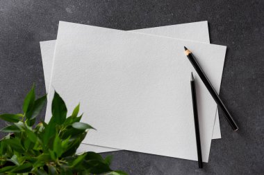 Kağıt maketi. Siyah kalemli suluboya A4 kâğıdı ve arka planda bitki. Üst Manzara. Çizimler için şablon olarak kullanılabilir.