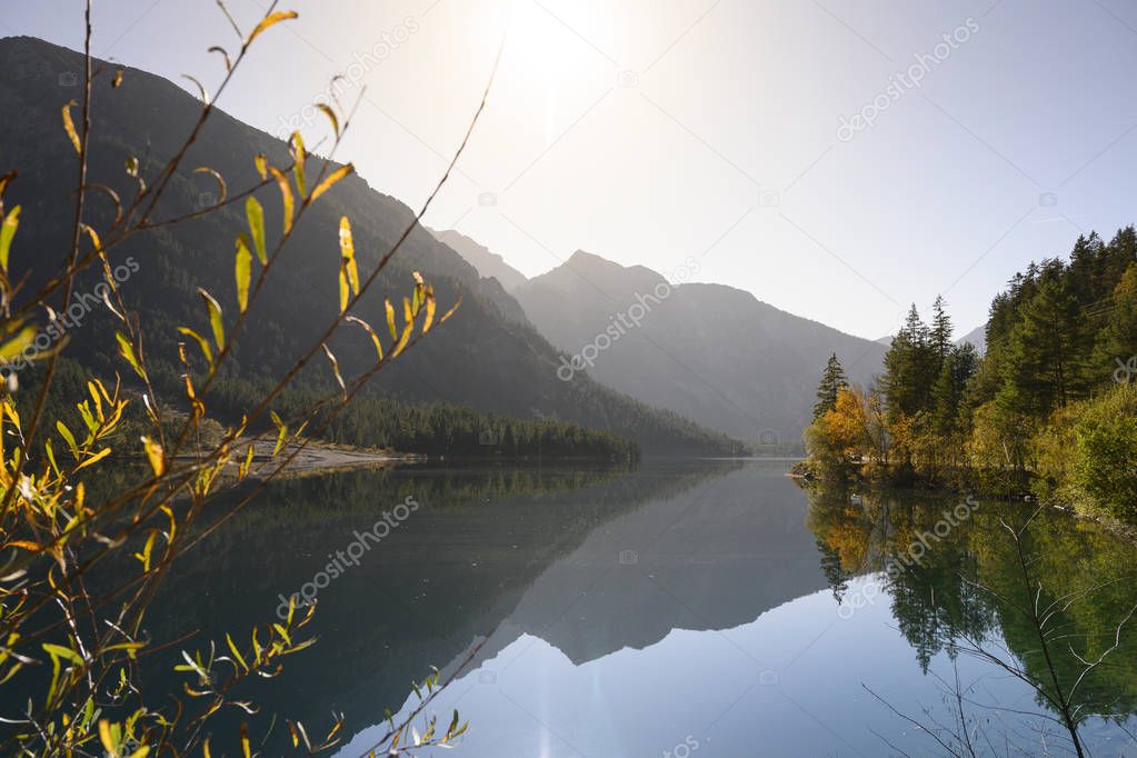beautiful fall mood at lake plansee with orange colored trees and clear reflecting water