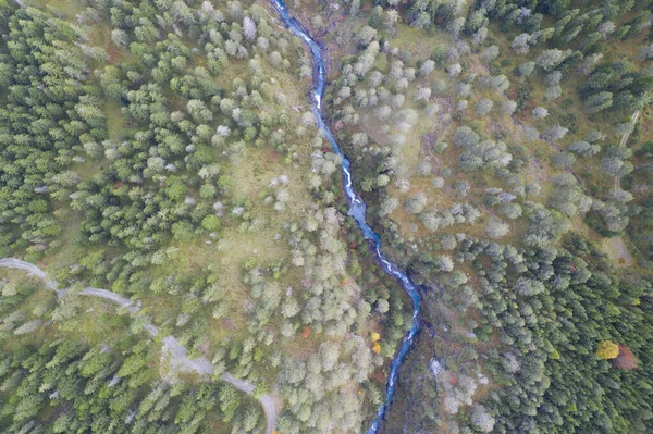 Antenn Utsikt Över Skogen Med Skärning Blå Flod Kanjon Hösten — Stockfoto