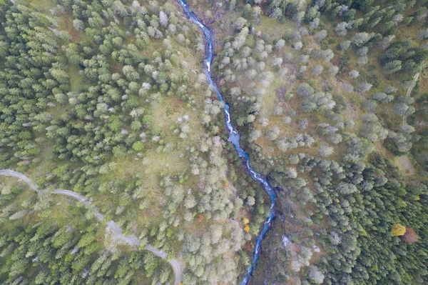 Aerial View Forest Cutting Blue River Canyon Fall — Stock Photo, Image