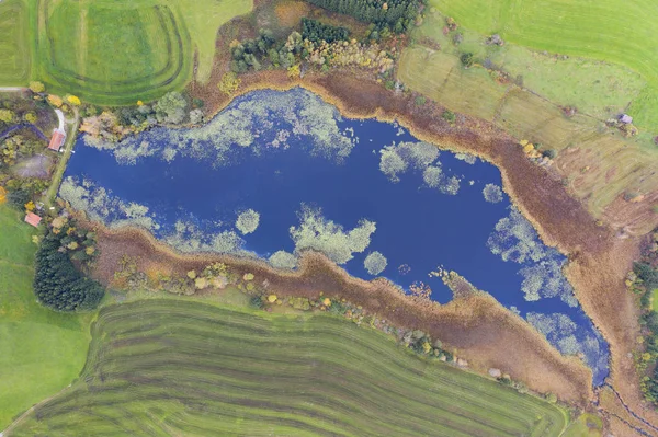 Bovenaanzicht Naar Blauwe Grosser Eschacher Weiher Vijver Met Groene Algen — Stockfoto