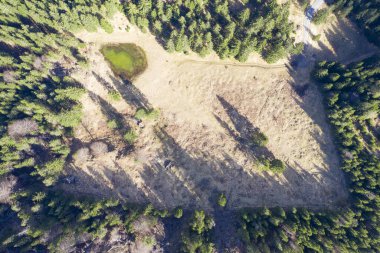 Kuşların gözü dağdaki çayırlarda. Etrafı tarla ve ormanlarla çevrili.