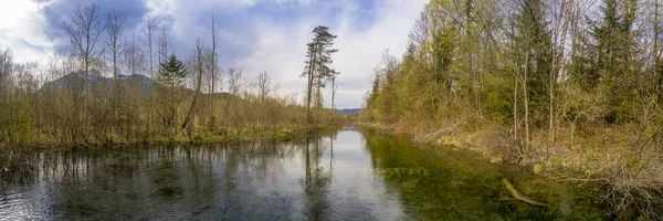 Panorama Swamp Landscape Rural River Trees Bushes — Stock Photo, Image