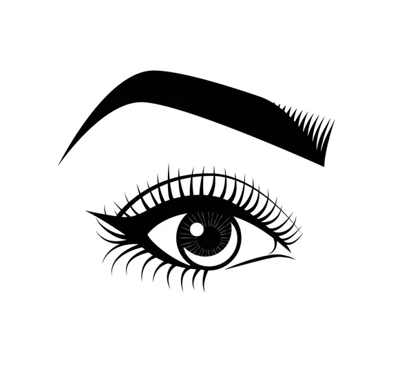 Female Eye and Eyebrow. Makeup. The Beauty Industry. Vector Illustration — Stock Vector