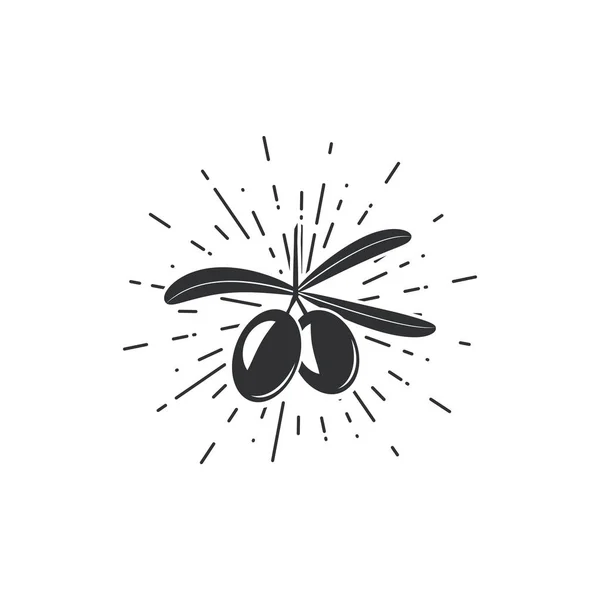 Olivový olej logo — Stockový vektor