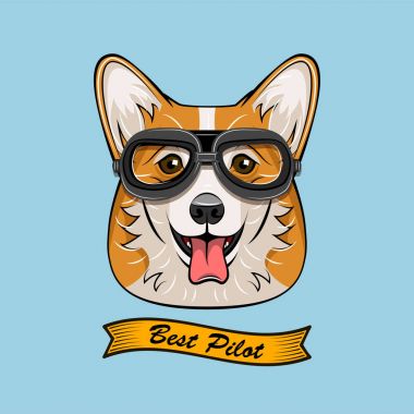 Şirin Pilot Corgi köpek yüz Traveler Retro havacı gözlük. En iyi Pilot şerit. Vektör çizim üzerinde beyaz izole