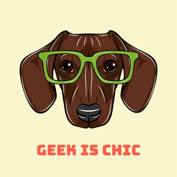 Tête Dachshund chien dans des lunettes de geek. Vecteur — Image vectorielle