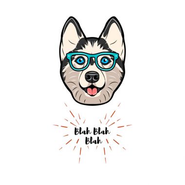 bir geek gözlük illüstrasyon izole beyaz şeker husky köpek