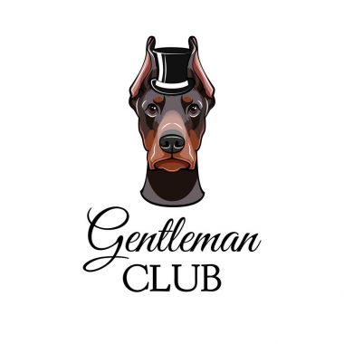 Silindir şapka ile Doberman Pinscher köpek... Vektör köpek resimli portresi.