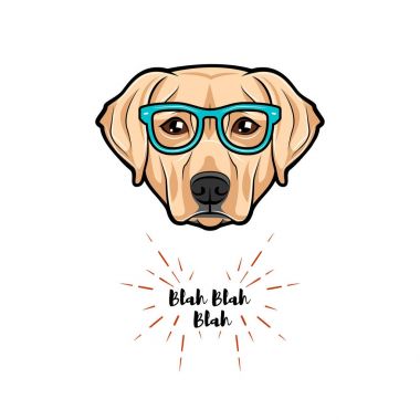 Köpek Labrador 'un beyaz arka planda gözlük taktığı vektör görüntüleri