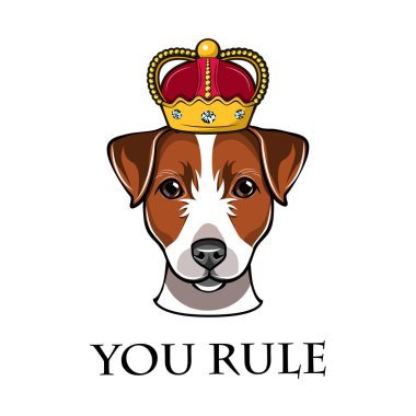 Jack Russell Terrier beyaz arka planda izole taç köpek vektör çizim içinde.